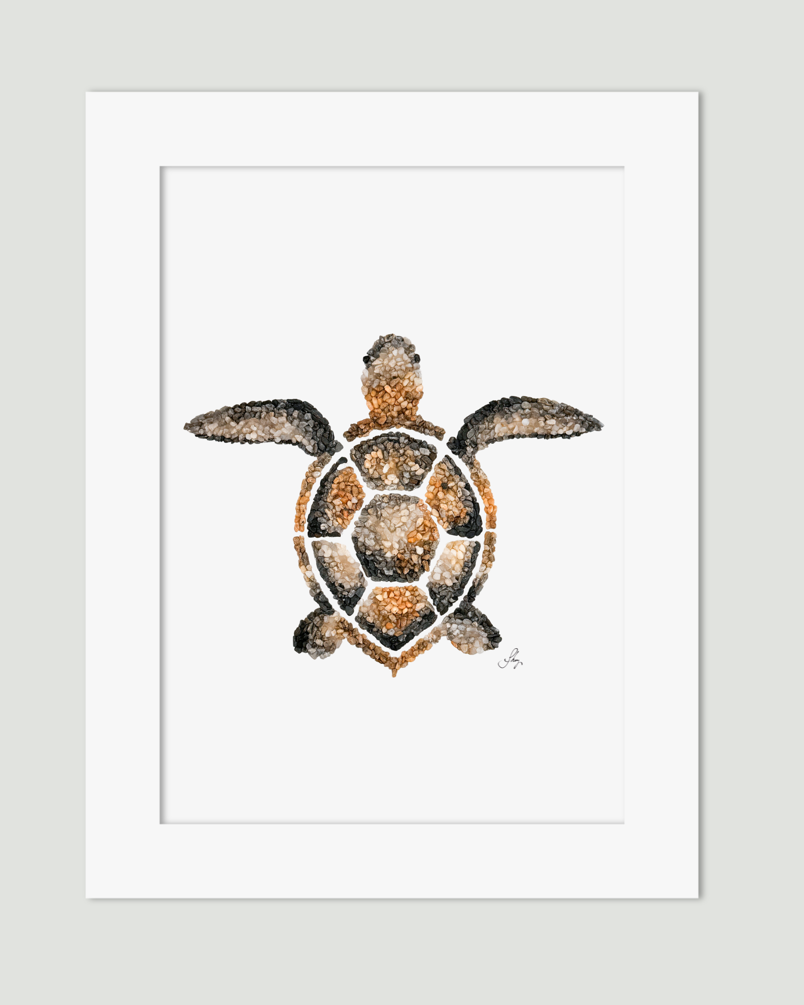 Tide the Turtle | Print